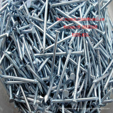 Builing Materials Iron Nails Galvanized Steel Nails en la fábrica de China